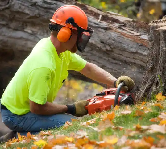 tree services West Farmington